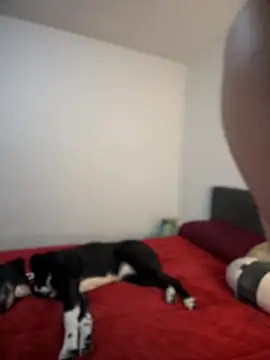 ariiel  online show from February 2025 10:43:02 PM