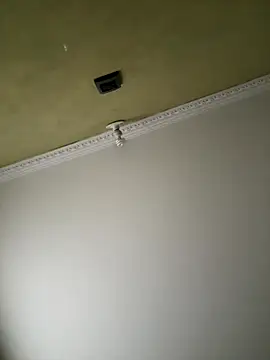 aurora divine online show from November 2025 01:00:01 PM