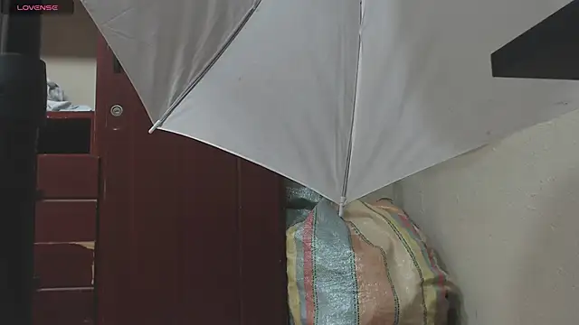 DIANATSS online show from February 2025 11:45:01 PM