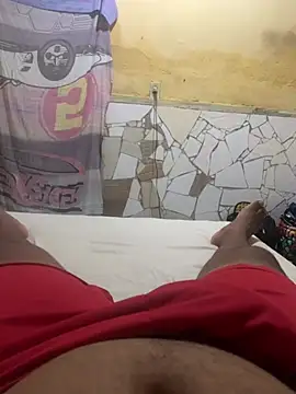 Snapshot of GordoSafadinho chatting on February 2025 11:48:02 PM GordoSafadinho online show from February 2025 11:48:02 PM