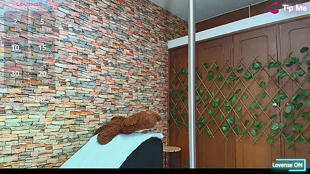 Snapshot of couple_lovelyds chatting on December 2025 09:21:02 PM couple lovelyds online show from December 2025 09:21:02 PM