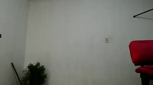 fernandez latinblackk online show from December 2024 01:37:02 AM