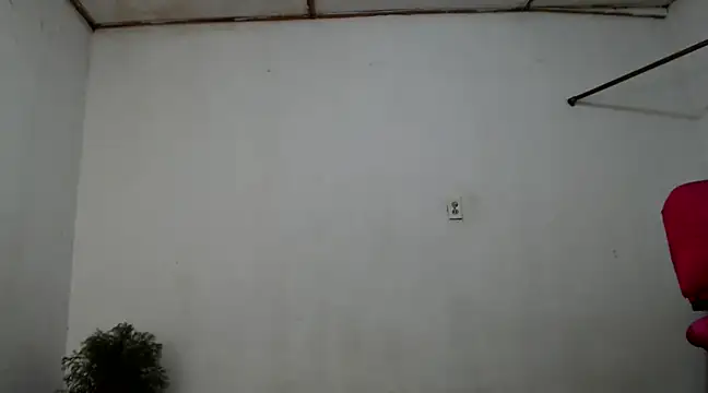 fernandez latinblackk online show from December 2024 05:49:02 AM