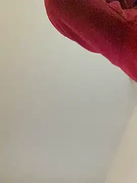 Snapshot of RicarBer chatting on February 2026 01:42:01 AM RicarBer online show from February 2026 01:42:01 AM