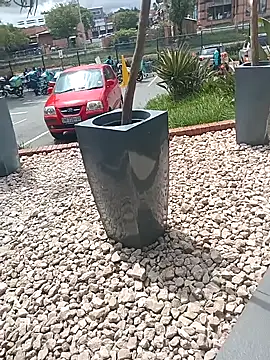 Lexwelll online show from March 2025 11:05:02 AM