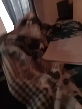 MrTamburine22 online show from February 2026 01:44:01 PM