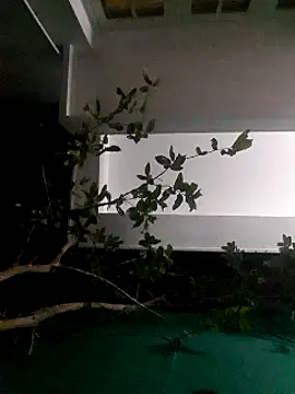 Jhon837486 online show from December 2024 02:21:01 PM