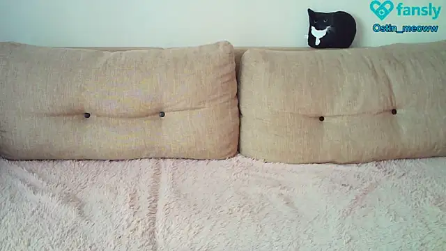 Ostin meow online show from February 2025 06:39:01 AM