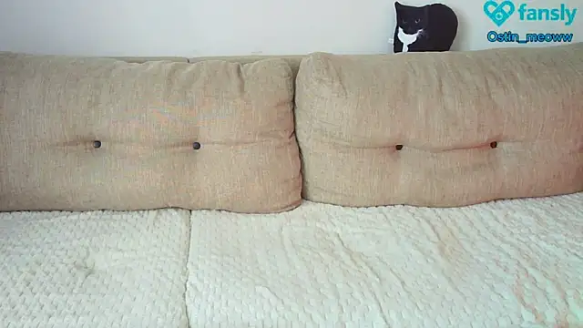 Ostin meow online show from February 2025 08:14:01 AM