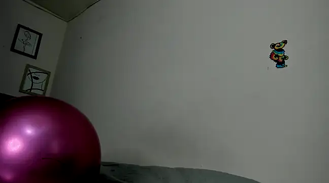 Snapshot of honny_3090 chatting on February 2025 05:33:01 PM honny 3090 online show from February 2025 05:33:01 PM