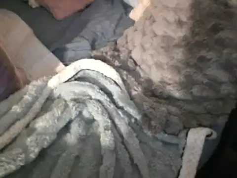 Snapshot of housewife_shantie chatting on March 2025 08:04:02 AM housewife shantie online show from March 2025 08:04:02 AM