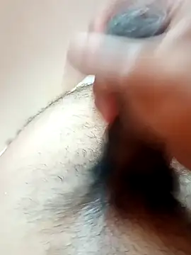 Vignesh3246 online show from December 2024 02:59:01 PM