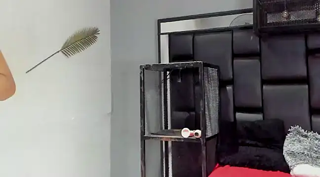 NovaMicheel online show from December 2024 06:55:02 AM