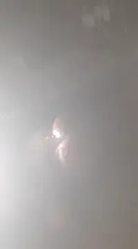 Snapshot of bandi-big-dick chatting on January 2025 01:57:01 PM bandi-big-dick online show from January 2025 01:57:01 PM