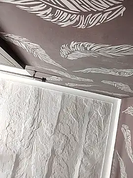 shalini fire online show from September 2025 06:32:02 PM