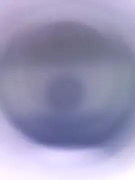 Lorrain Dorrie online show from January 2025 04:52:02 PM