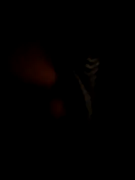 RMP05 online show from December 2024 02:09:01 AM