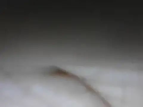 samee00721 online show from January 2025 08:11:02 PM