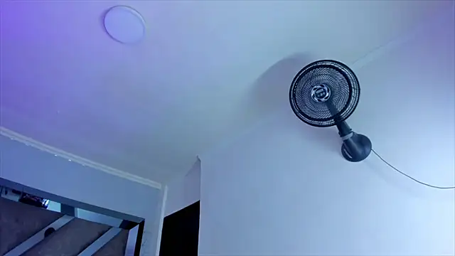 AlliJadid online show from February 2025 01:49:02 PM