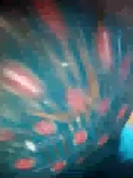 Ruby Sc online show from December 2024 01:36:02 PM