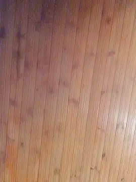 Darly Gomez online show from January 2025 07:21:01 PM