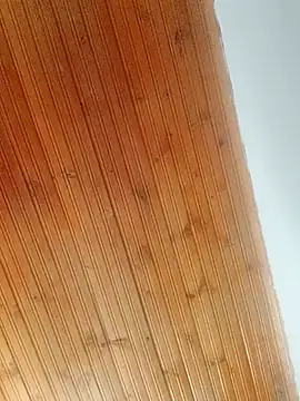 Darly Gomez online show from March 2025 03:47:02 PM