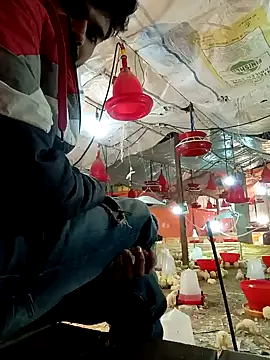 Snapshot of Roni1028 chatting on December 2024 05:11:02 AM Roni1028 online show from December 2024 05:11:02 AM