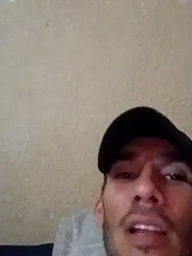 pppk15 online show from April 2026 04:11:01 AM