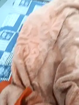 Kakabiraji online show from November 2025 05:01:02 PM