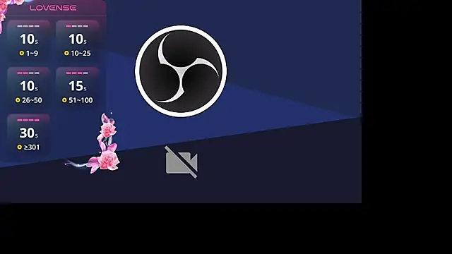  Willow  online show from November 2025 10:25:01 PM