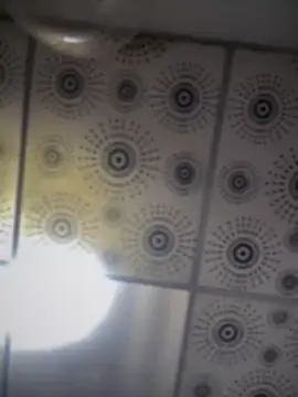 Snapshot of adam-rivera chatting on October 2025 05:08:01 PM adam-rivera online show from October 2025 05:08:01 PM