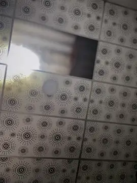 Snapshot of adam-rivera chatting on October 2025 05:35:02 PM adam-rivera online show from October 2025 05:35:02 PM