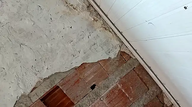 frotasso online show from January 2025 04:31:02 PM