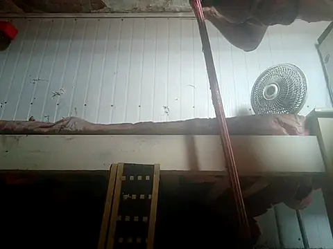 Snapshot of frotasso chatting on February 2026 02:25:01 PM frotasso online show from February 2026 02:25:01 PM