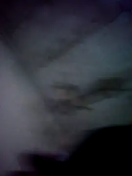 jolesin online show from December 2024 02:47:02 PM