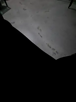 Ritikdesi online show from March 2025 02:36:02 AM