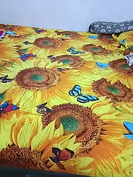 bhavanitelu online show from December 2024 11:44:01 AM