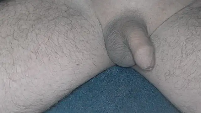 cs1512 online show from February 2025 04:36:02 AM