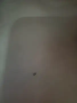 Akhi Akshaya online show from January 2025 05:38:01 PM