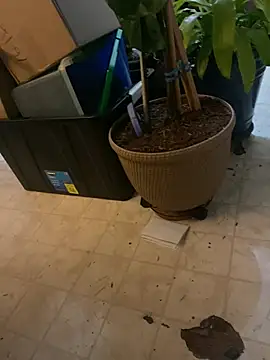 Thickirishcock850 online show from March 2026 09:24:02 AM