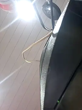 ppatriciarabello online show from November 2025 03:40:01 PM