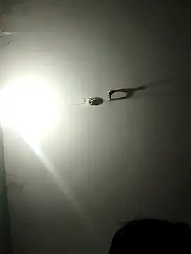 jaydev madhuri online show from March 2026 07:45:02 AM