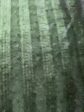 Rosita forever  online show from February 2025 04:15:01 PM