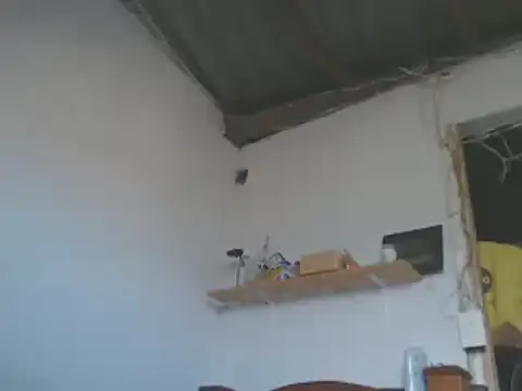 gatoalex89 online show from January 2025 08:05:02 PM