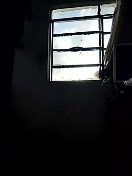 gatoalex89 online show from May 2026 11:40:01 AM