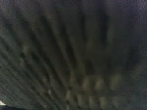 Snapshot of party51502 chatting on March 2025 07:20:02 PM party51502 online show from March 2025 07:20:02 PM