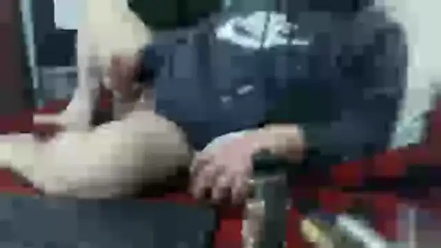 Snapshot of party51502 chatting on February 2026 03:05:02 PM party51502 online show from February 2026 03:05:02 PM