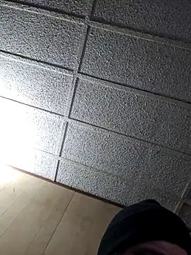 zaneporter46 online show from February 2025 08:07:01 AM