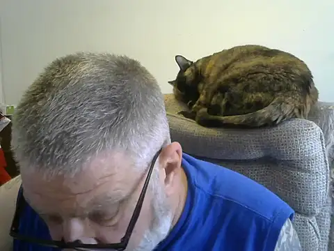 viejo oso online show from October 2025 07:45:02 PM