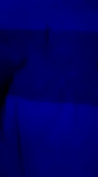ddmgfkdmyf online show from March 2025 12:05:01 AM